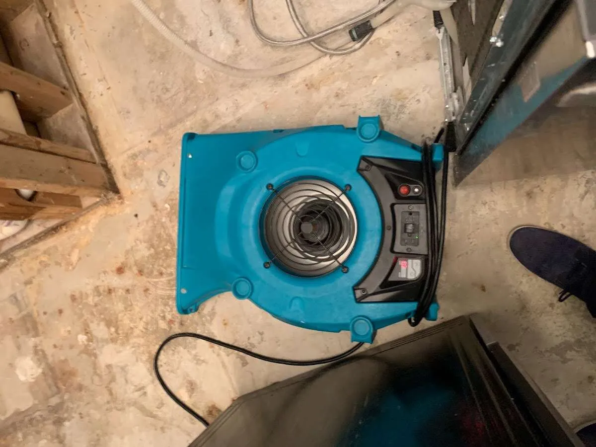 Air mover drying equipment for Mold Remediation & Removal in Camas